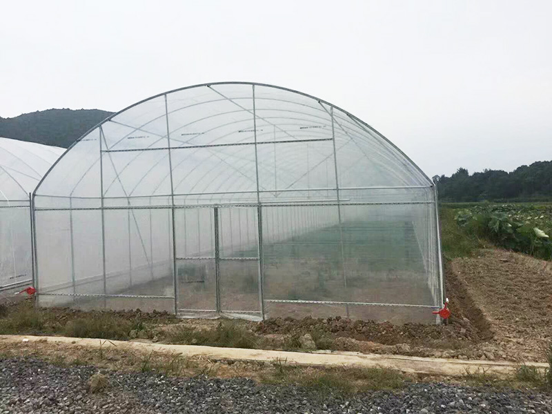 龙岩市薄膜大棚玻璃大棚 - 一站式服务
